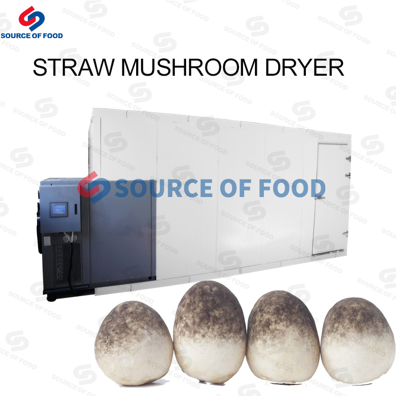 Straw Mushroom Dryer