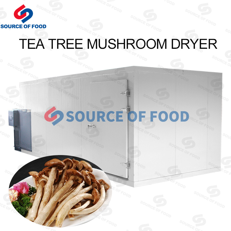 Tea Tree Mushroom Dryer