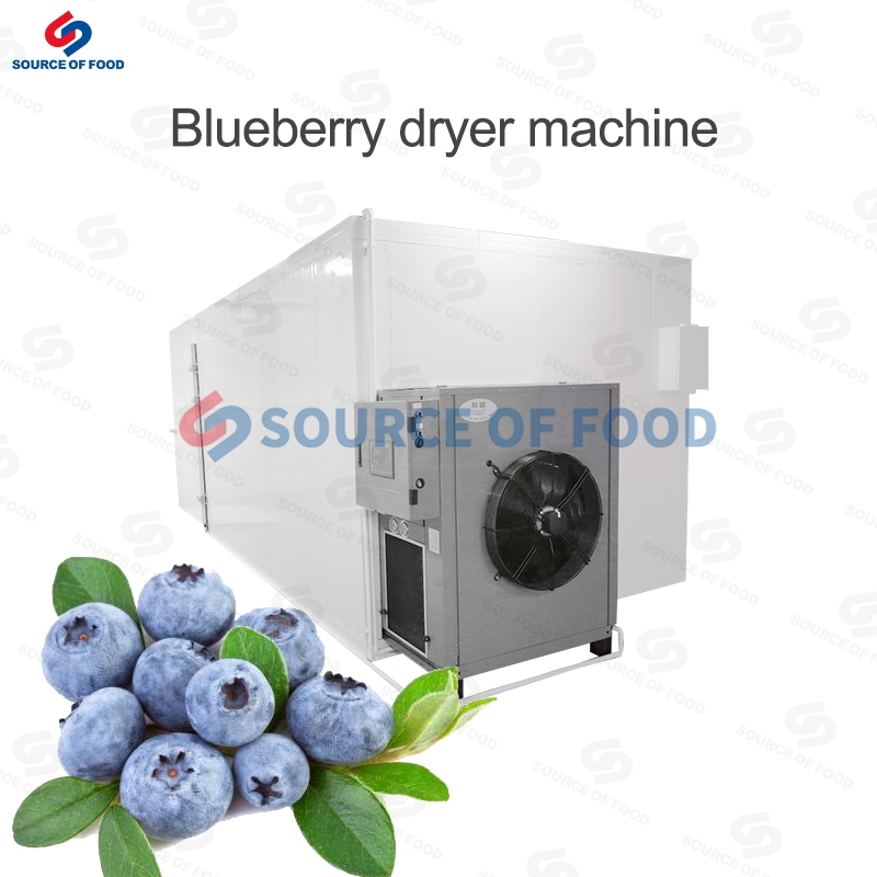 Blueberry Dryer Machine
